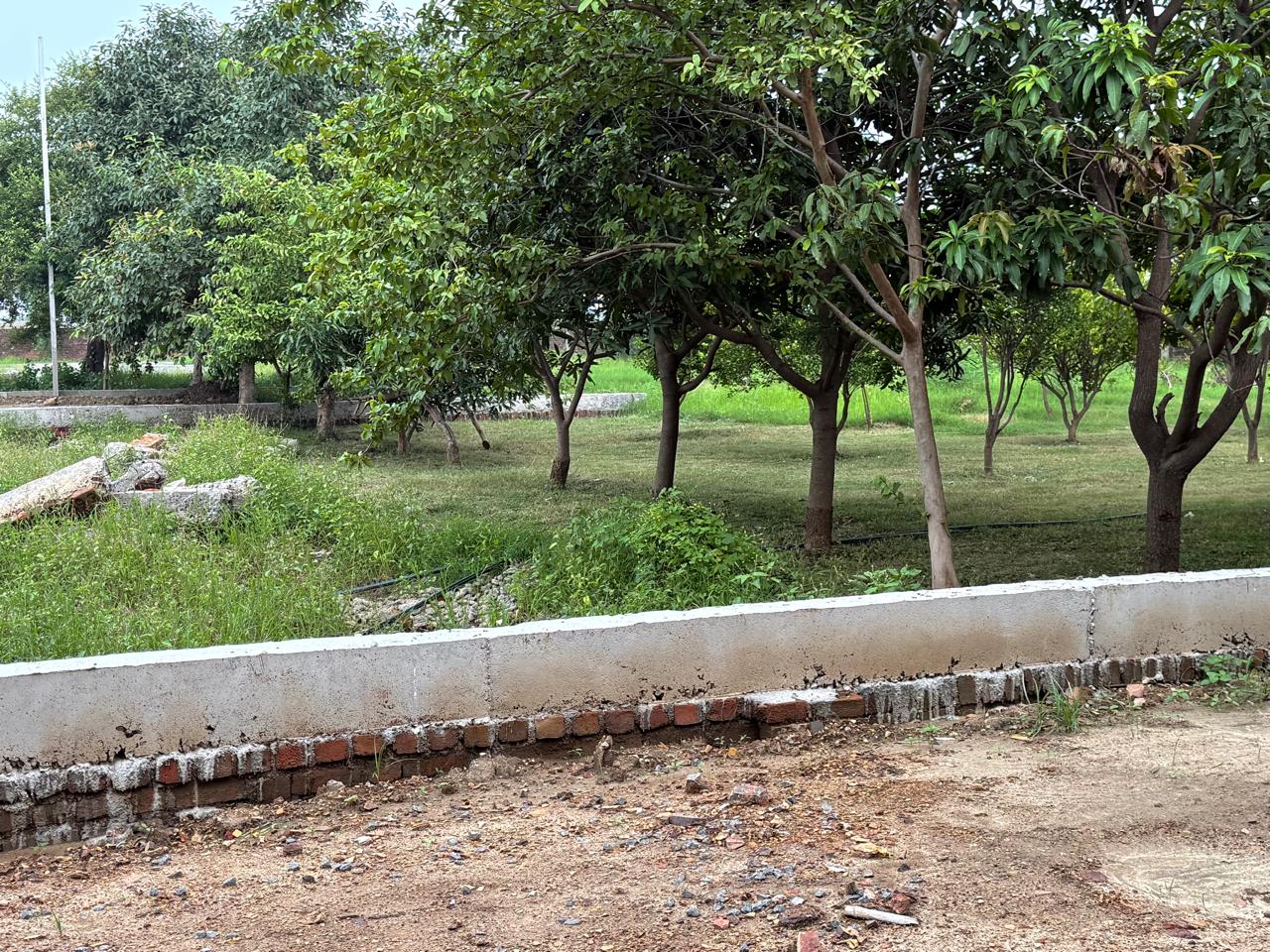 Plot Overview - sale residencial plot
