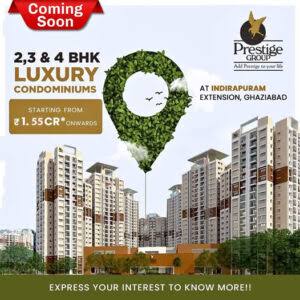 Other - Prestige City