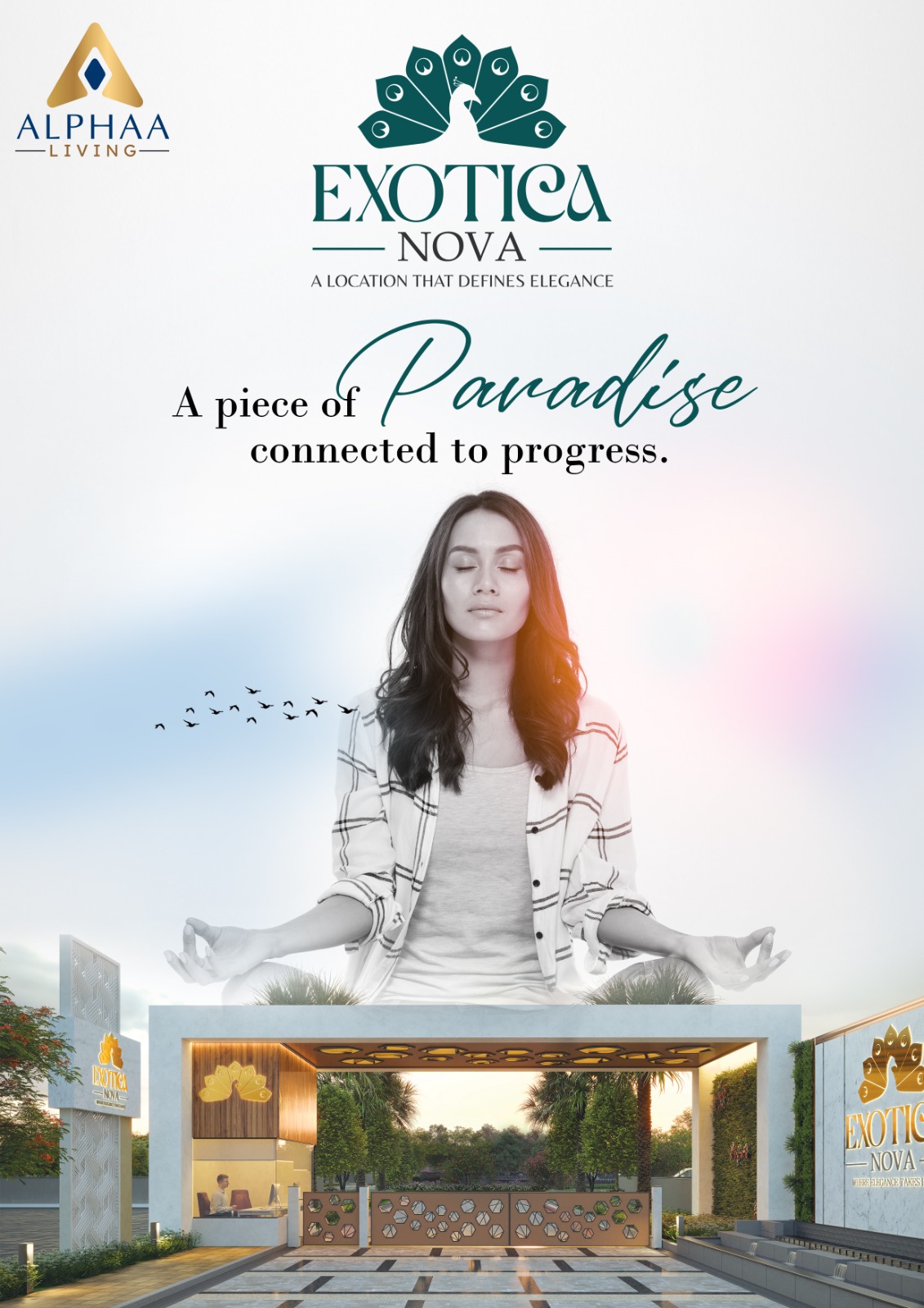 Plot Overview - EXITICA NOVA