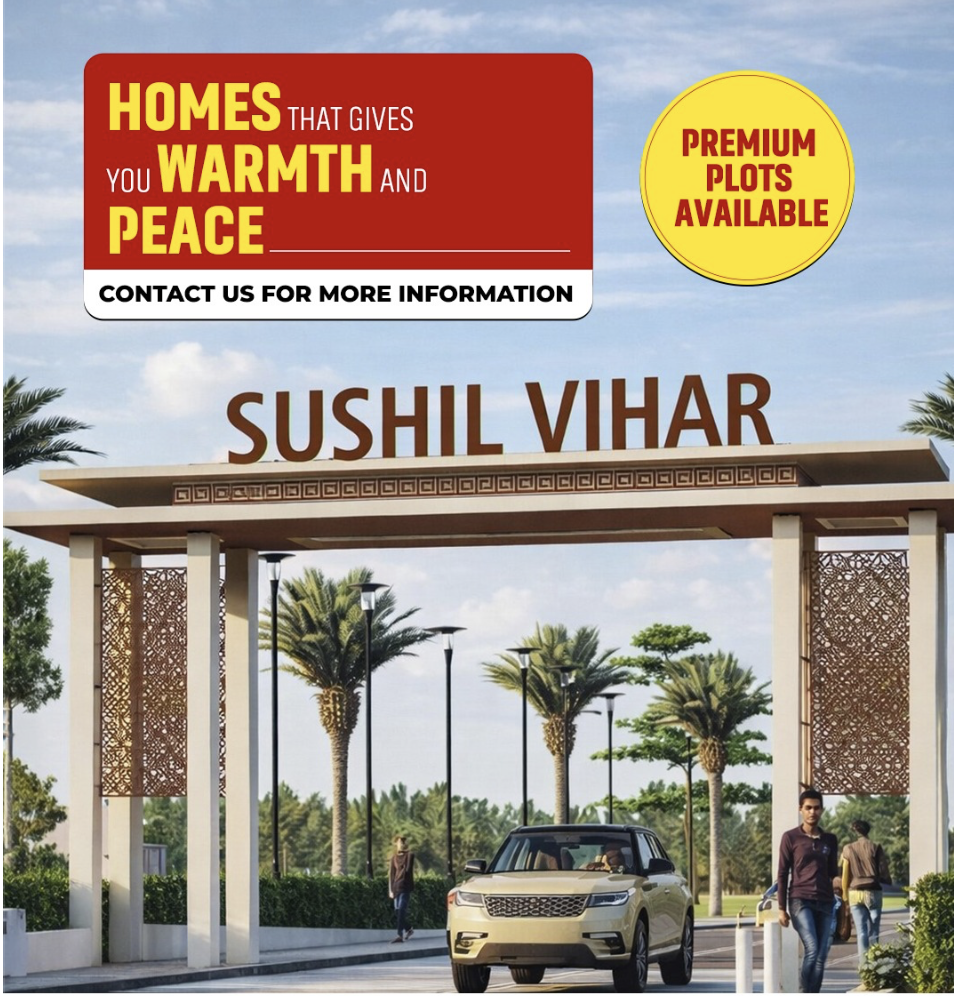 Plot Overview - Sushil vihar